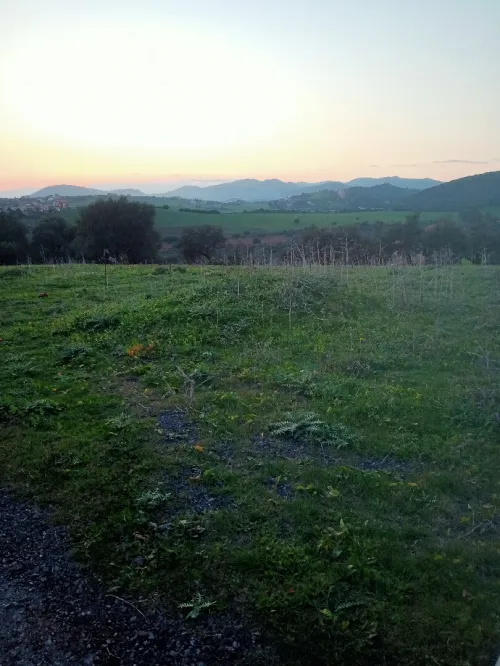 Vente Terrain Béjaïa El kseur