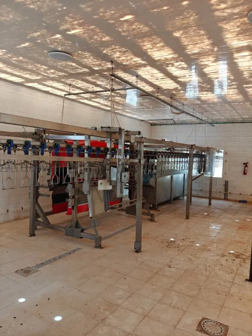 Matériel d'abattoir complet peu servi 