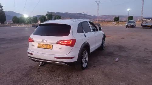 Audi Q5 2010 Ofer roud