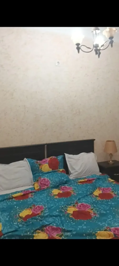 Location Appartement Studio F2 Alger Hraoua