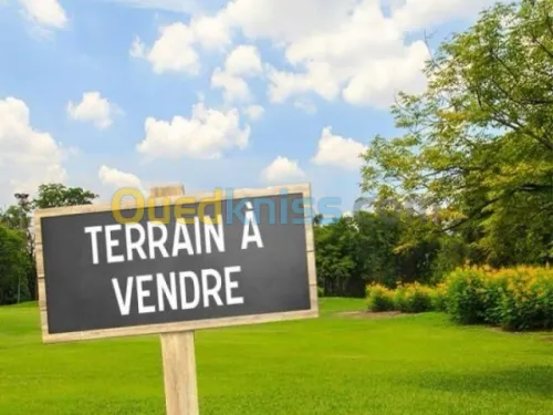 Location Terrain Alger Bordj el kiffan
