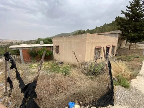 Vente Villa Blida El affroun