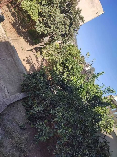 Vente Villa Constantine Constantine