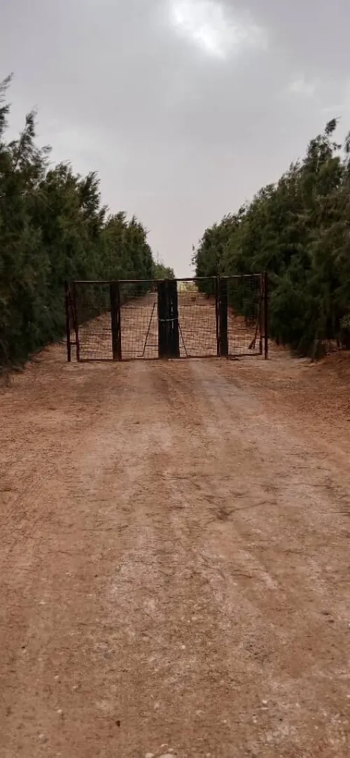 Vente Terrain Agricole Biskra Oumache