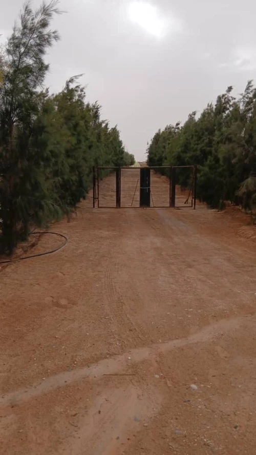 Vente Terrain Agricole Biskra Oumache