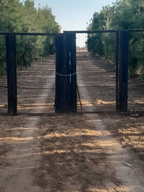 Vente Terrain Agricole Biskra Oumache