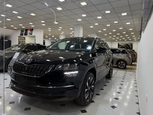Skoda Karoq 2025 