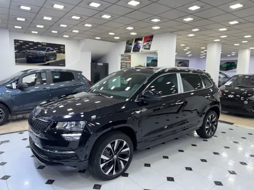 Skoda Karoq 2025 