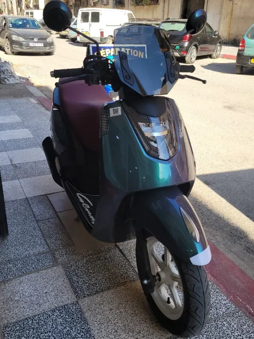 Vms Gemma 2025