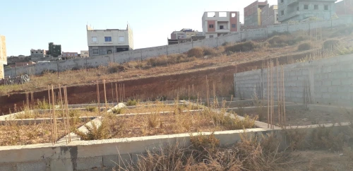 Vente Terrain Tlemcen Marsa ben mhidi