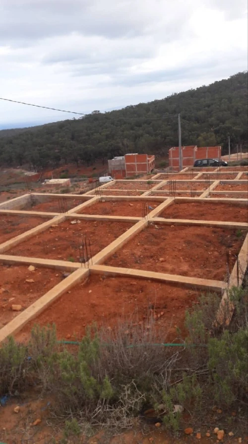 Vente Terrain Tlemcen Marsa ben mhidi