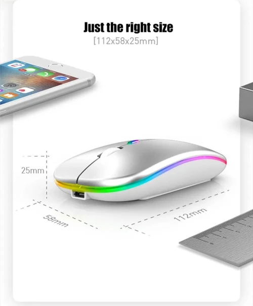 Souris sans fil Rechargeable silencieuse rétro-éclairée  LED souris 2.4Ghz récepteur Bluetooth