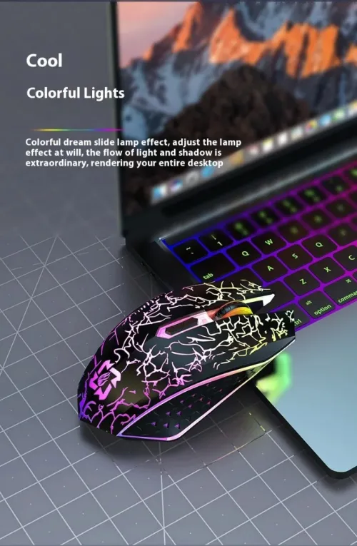 Souris de jeu Bluetooth 5.2 et 2,4 G double mode 1600 DPI Clic silencieux 6 boutons Rechargeable
