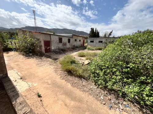 Vente Terrain Tlemcen Tlemcen