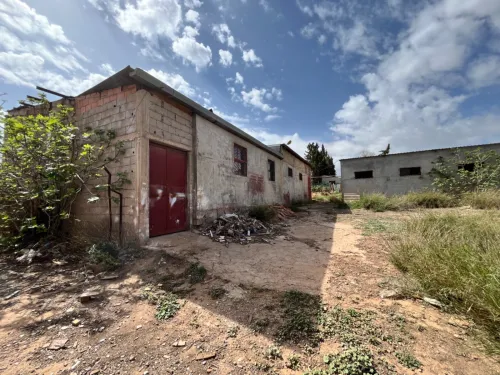 Vente Terrain Tlemcen Tlemcen