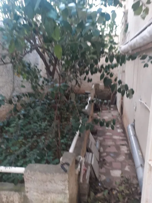 Vente Villa Tizi Ouzou Azeffoun