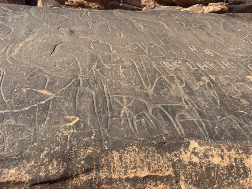 Vacances de Printemps à TAGHIT Du 25 AU 28 Mars  par avion et vivez le désert en grand confort à l'hotel SAOURA