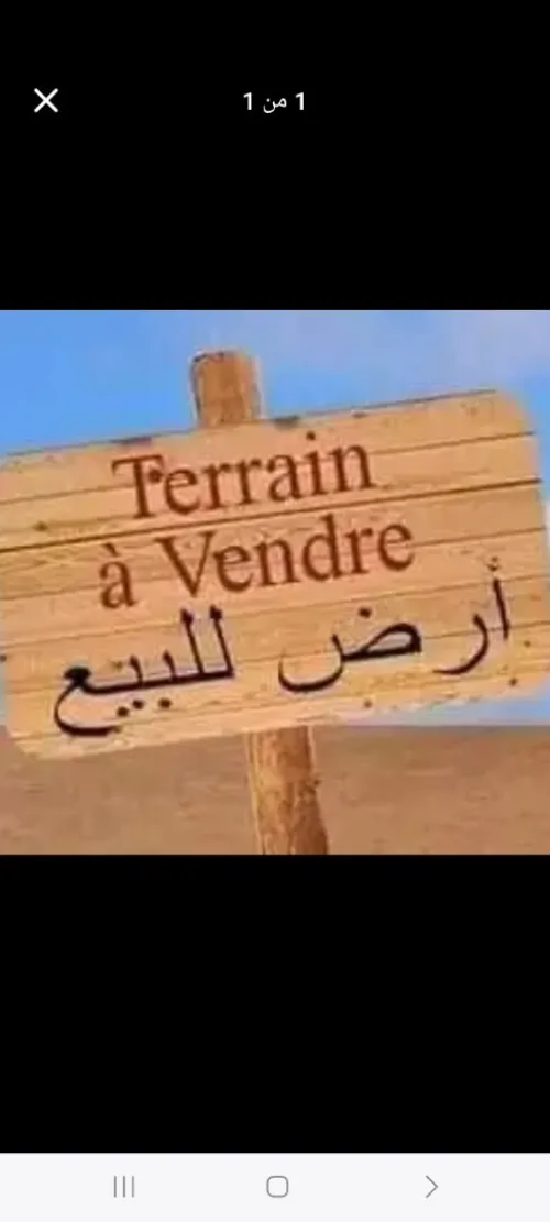 Vente Terrain Blida Ouled selama