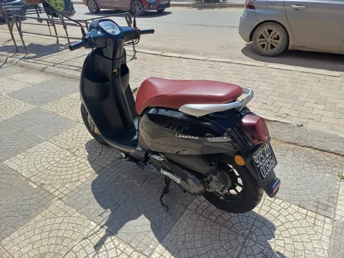 Benelli Panarea 2023
