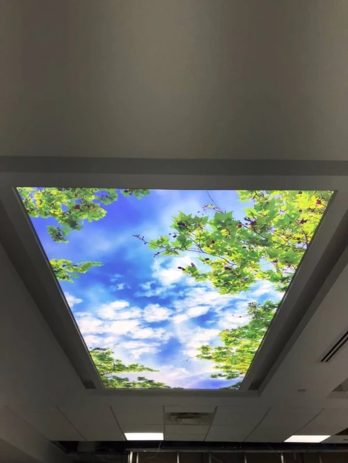 plafond tendu - toile tendu - Proteco 