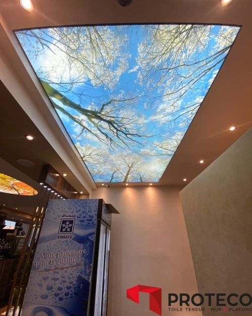 Plafond tendu - Toile tendue - Proteco 