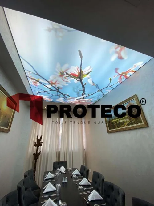 PLAFOND TENDU - TOILE TENDUE - PROTECO - بروتيكو