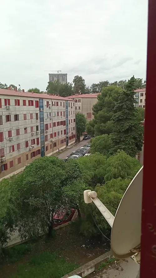 Vente Appartement F4 Alger Dely brahim 3