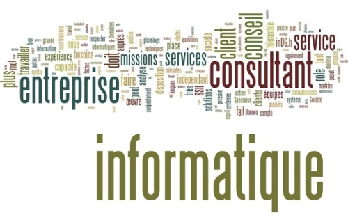 EXPERT Consultant IT