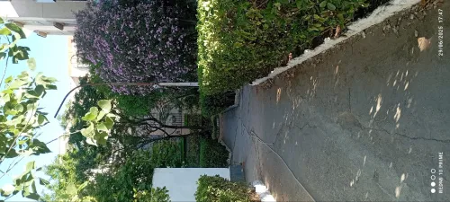 Location Appartement F6 Alger Cheraga