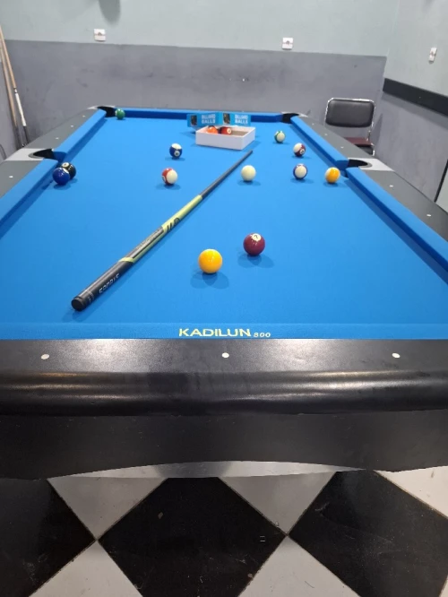 Table de Billard SAM Professionnel  Référence Aramith Andy