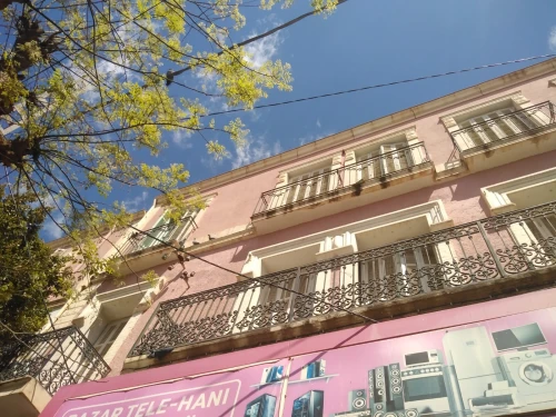 Vente bien immobilier Saïda Saida