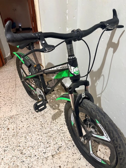 Vélo type BMX/Drit20 Pousse marque Hannovre noir et vert