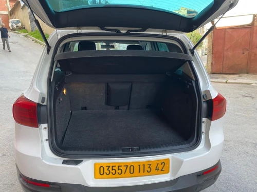Volkswagen Tiguan 2013 Life