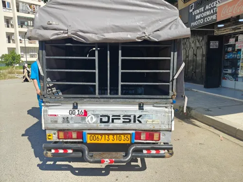 DFSK Mini truck 2010 Mini truck