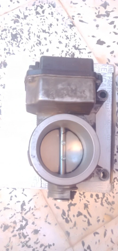 Papion électrique