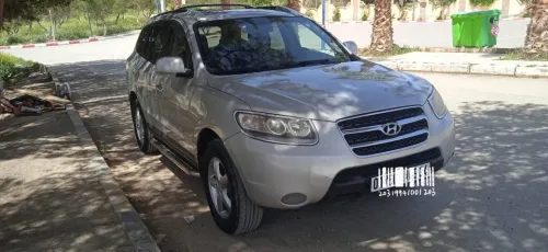 Hyundai SantaFe 2009 SantaFe