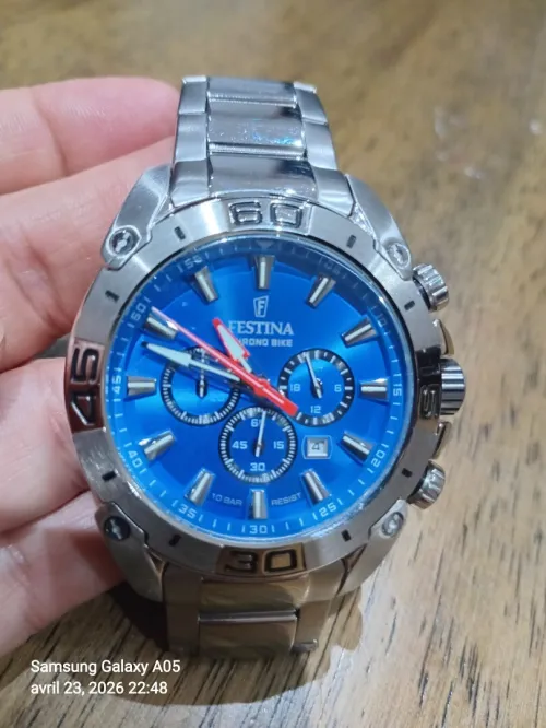 Festina F20543