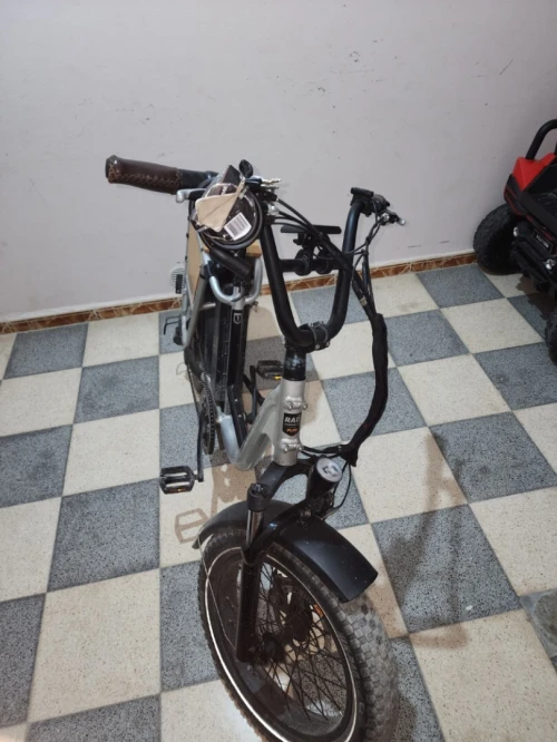 RAD POWER BIKES PLUS