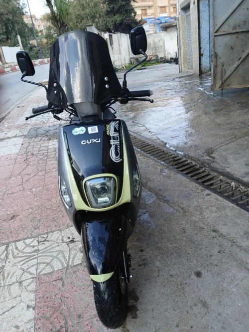VMS vms cuxi 2 
