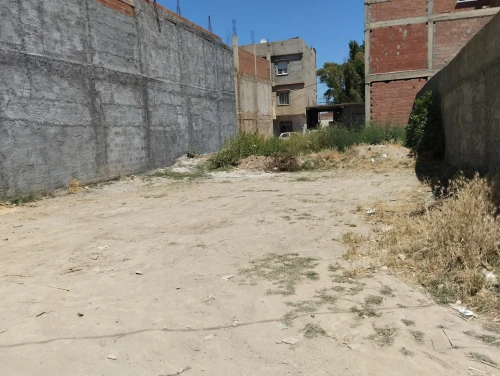 Vente Terrain Blida Boufarik