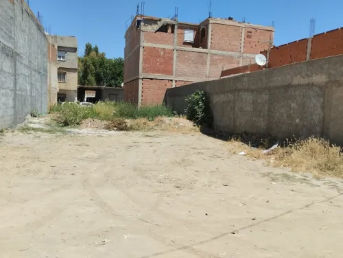 Vente Terrain Blida Boufarik