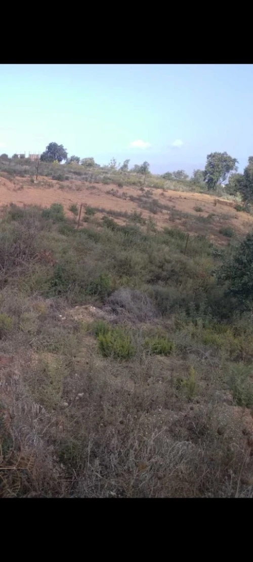 Vente Terrain Bejaia Boukhelifa