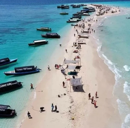 PROMOTION TANZANIE & ZANZIBAR DEUX PROGRAMMES AU CHOIX A PARTIR DE 312000 DA SEULEMENT!