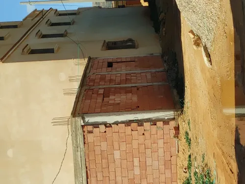 Vente Terrain Mostaganem Kheireddine