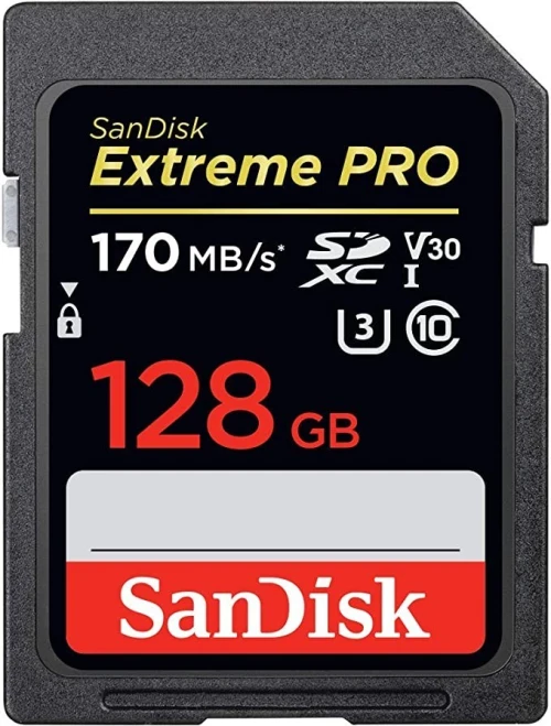carte mémoire SD 