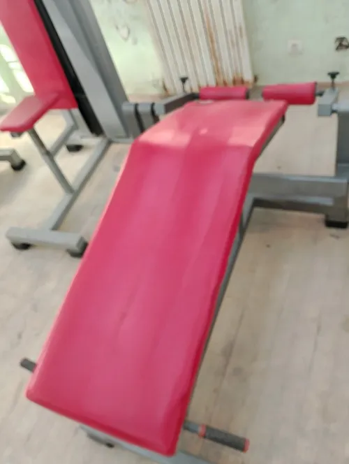 Presses de musculation "Apollon gym"