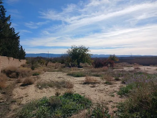 Vente Terrain Batna Ain touta