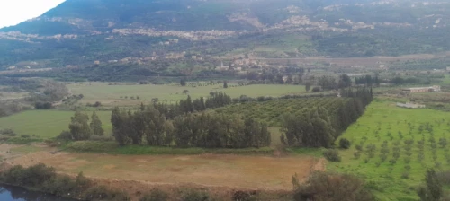 Vente Terrain Agricole Béjaïa Timezrit
