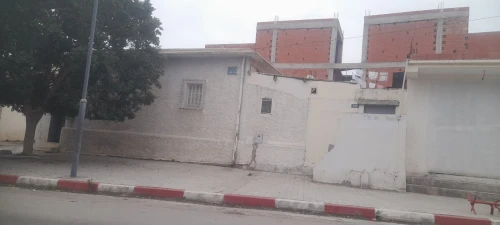 Vente Terrain Blida Blida
