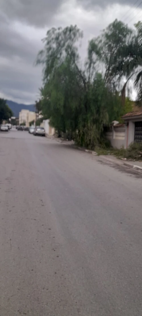 Vente Terrain Blida Blida